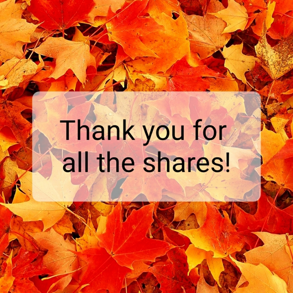 Thank you for all the shares!